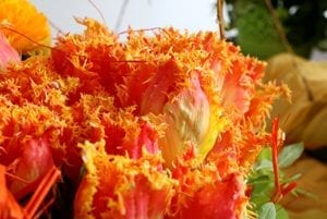 042117_blumen3