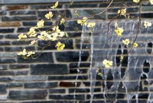 042117_wassergarten1